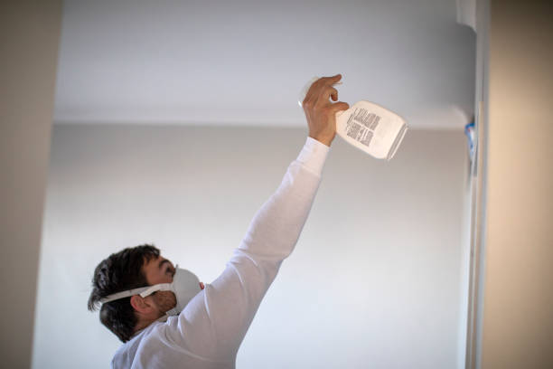 Best Affordable Mold Removal  in Hoffman Estates, IL