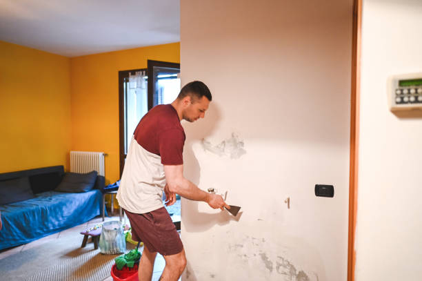 Best Mold Damage Repair  in Hoffman Estates, IL