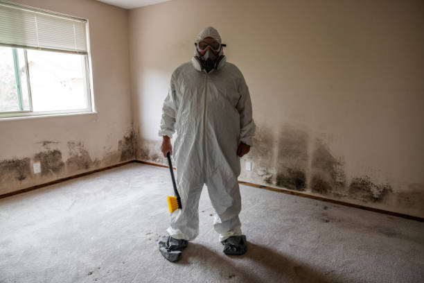 Best Office Mold Removal Services  in Hoffman Estates, IL